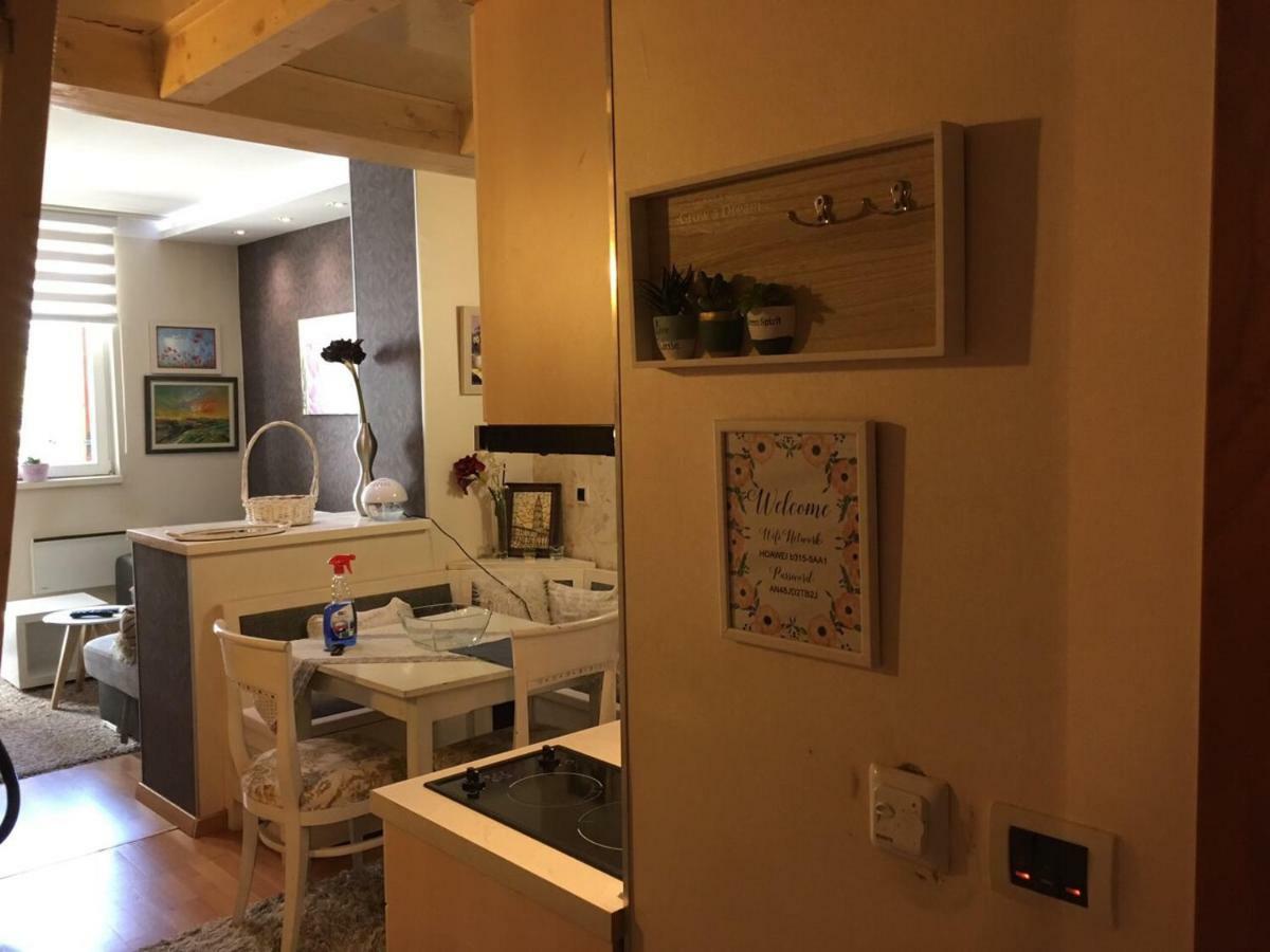 Apartment Marija- Kopaonik Centar מראה חיצוני תמונה