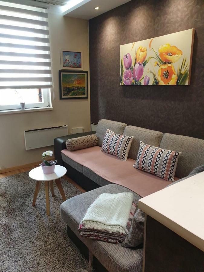 Apartment Marija- Kopaonik Centar מראה חיצוני תמונה